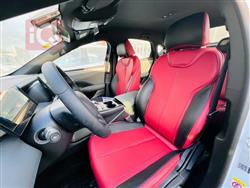 بي واي دي Qin Plus